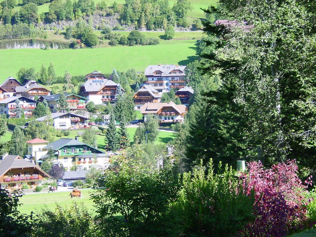 Haralds Ferienwohnungen Bad Kleinkirchheim Δωμάτιο φωτογραφία